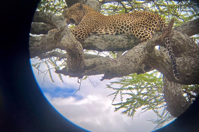 Best of Tanzania 5days 4nights safari - Four parks, four different safari moods