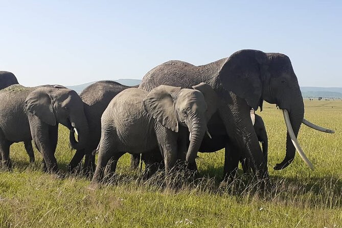 Best of Tanzania 5days 4nights safari - Day two: the long road to Serengeti
