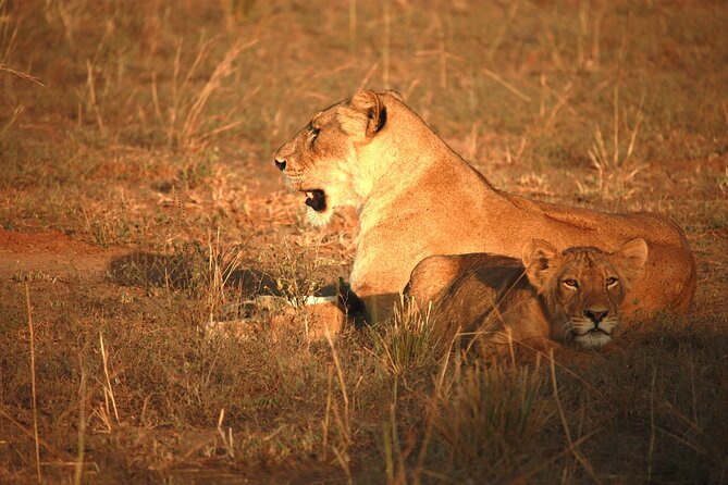 Big Five Luxury Safari in Tanzania - Lodging, meals, and the meaning of luxury