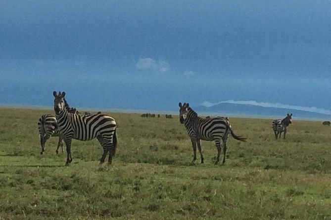 Camping to Serengeti & Ngorongoro Premium Parks - Camping comfort, food, and what is really included