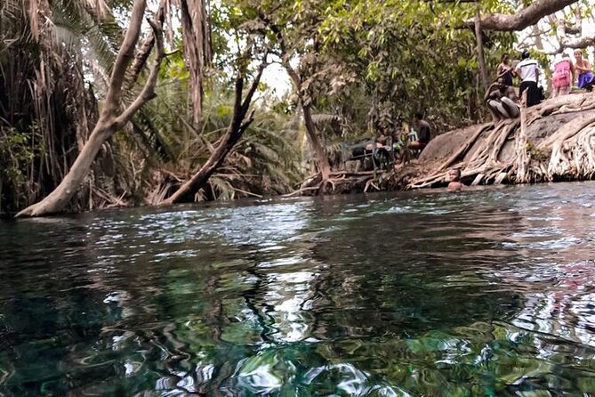 Chemka Hotsprings - Why Chemka works as a half-day break from Moshi