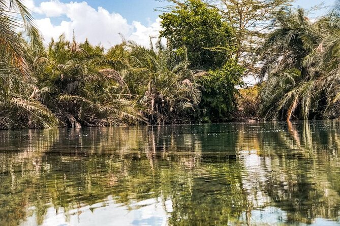 Chemka Hotsprings - Leaving Moshi through TPC farms and local villages