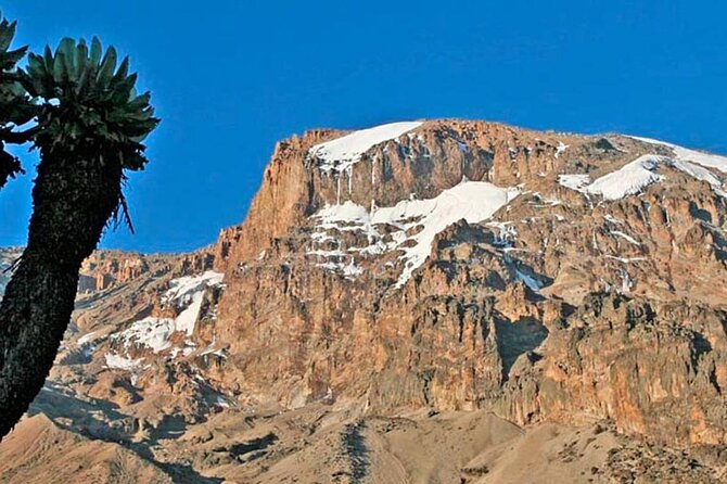 Climbing Kilimanjaro - Machame Route - Day five: Uhuru Peak and the long descent