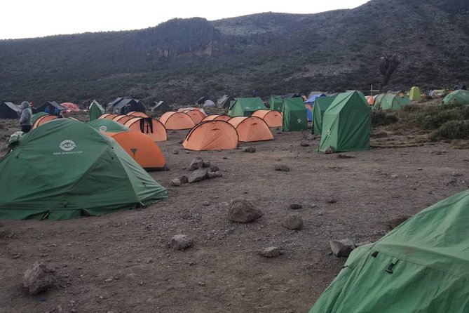 Climbing Kilimanjaro - Machame Route - Day six: Mweka Gate and the return to Moshi