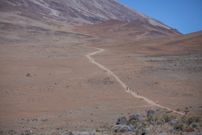 Climbing Kilimanjaro - Marangu Route - Day three: Horombo to Kibo across the high saddle