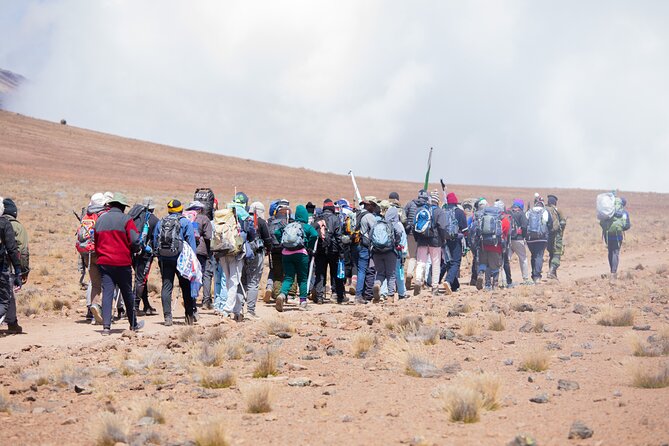 Climbing Kilimanjaro - Marangu Route - Day two: Mandara Huts to Horombo Huts