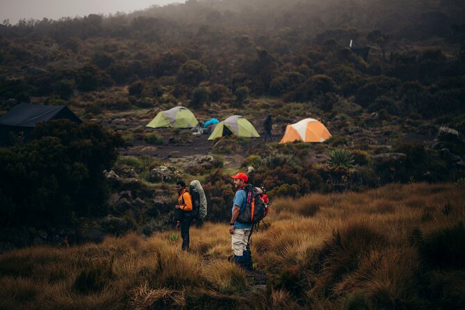 Climbing Kilimanjaro through 7 days Machame Route - Day 2: From forest to Shira Camp
