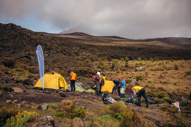 Climbing Kilimanjaro through 7 days Machame Route - Day 3: Lava Tower and the Barranco approach