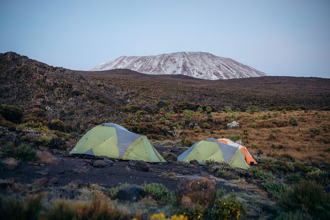 Climbing Kilimanjaro through 7 days Machame Route - Day 1: Machame Gate and the rainforest