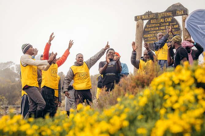 Climbing Kilimanjaro through 8 days Lemosho Route - Key points to know before booking