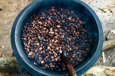 Coffee tour and Buffet Lunch with Kingstone Asilia (Arusha)