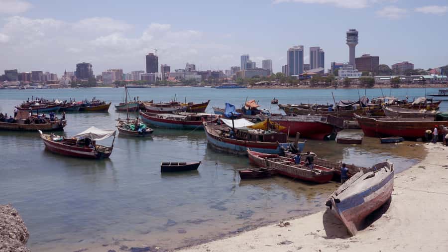 Dar es Salaam: City Tour - Village Museum brings traditional homes to life