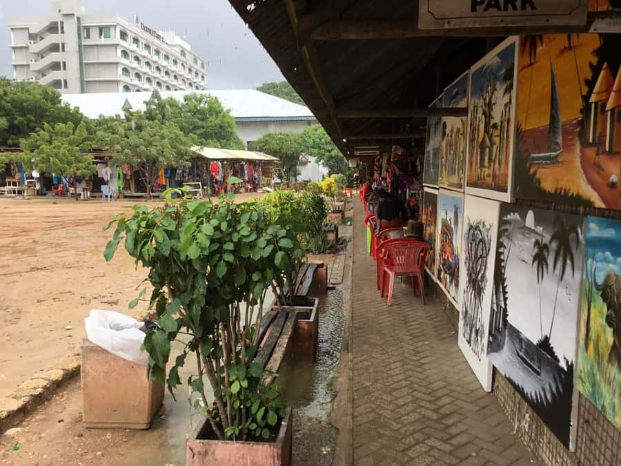 Dar es Salaam: City Tour - Which guide might suit your style?