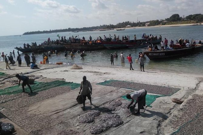 Dar es Salaam City Tour - Everyday - Who gets the most value from $97