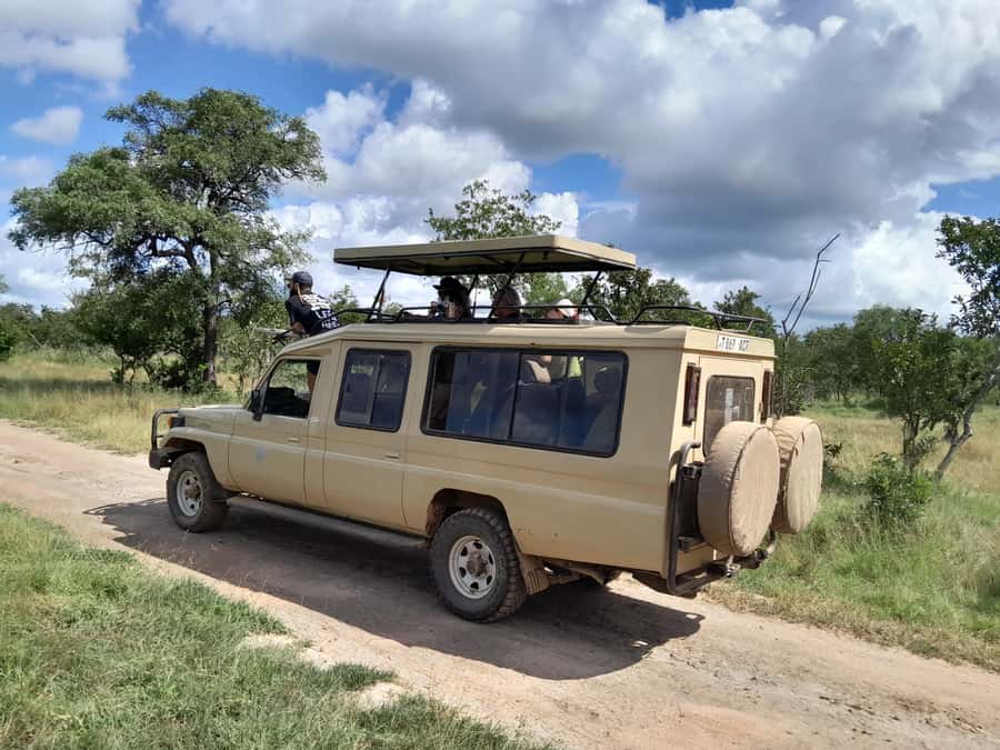Dar es Salaam: Mikumi National Park Day Trip with Train Ride - Key points to know before booking