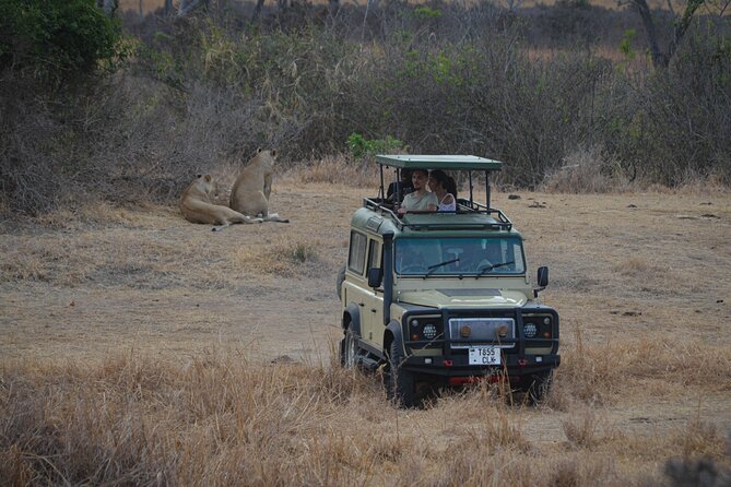 Day Safari Tour Selous Game Reserve - Key points at a glance