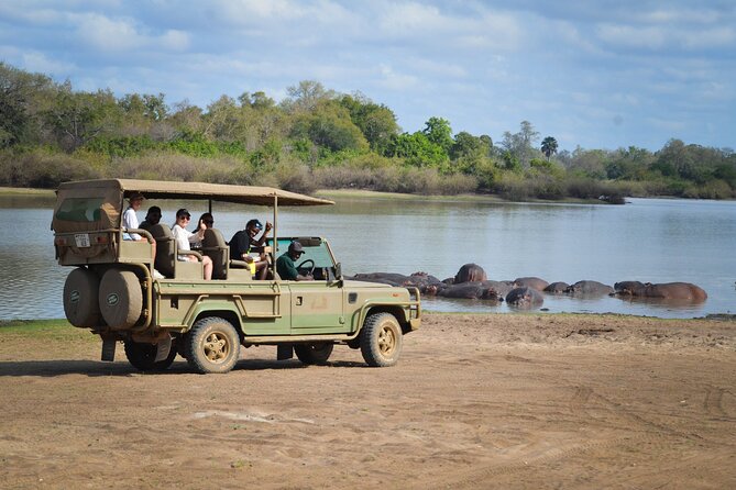 Day Safari Tour Selous Game Reserve - Why this Zanzibar safari is worth considering