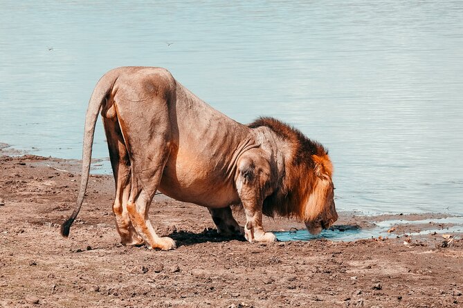 Day Safari Tour Selous Game Reserve - Game drives beside the Rufiji River and lakes