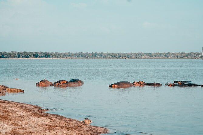 Day Safari Tour Selous Game Reserve - Continuing through the bush before the 4:00 PM return