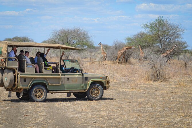 Day Safari Tour Selous Game Reserve - Meeting your guide at Mtemere Airstrip