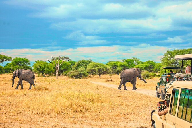 Day Safari tour to Selous Game Reserve from Zanzibar - From Zanzibar beach to African bush