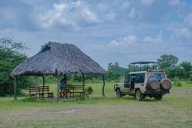 Day Safari tour to Selous Game Reserve from Zanzibar - Lunch, drinks, and basic comfort
