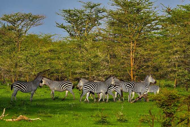 Day Safari tour to Selous Game Reserve from Zanzibar - Small groups and guide quality