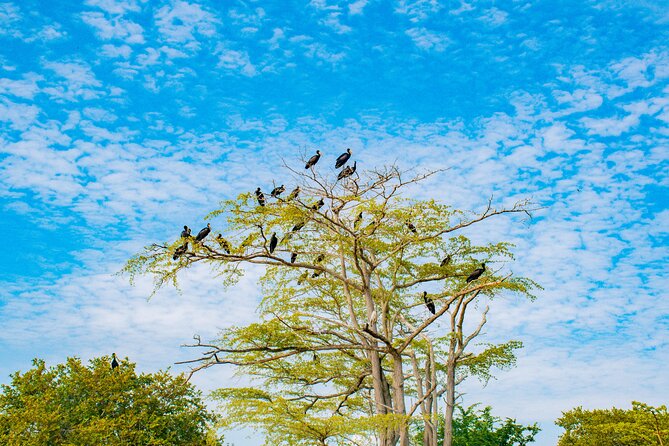 Day Safari tour to Selous Game Reserve from Zanzibar - What happens if the reserve changes?