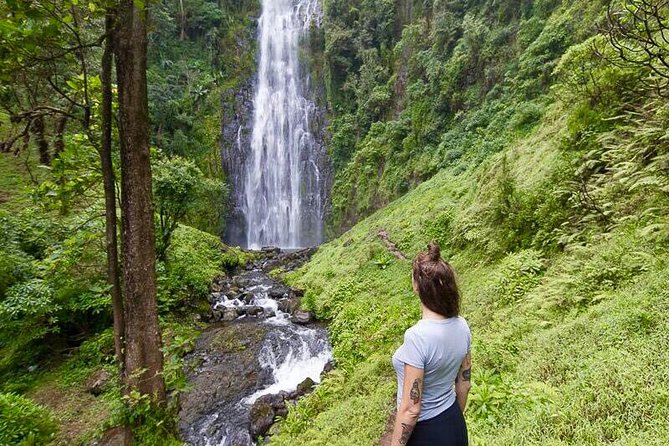 Day Trip Coffee Tour and Materuni Waterfalls - Meeting the Chagga culture in Materuni Village