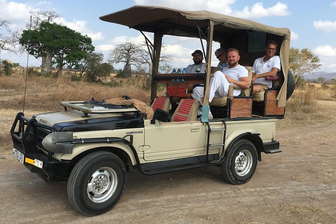 Day Trip From Zanzibar To Mikumi - Flying from Zanzibar to a real Tanzanian safari