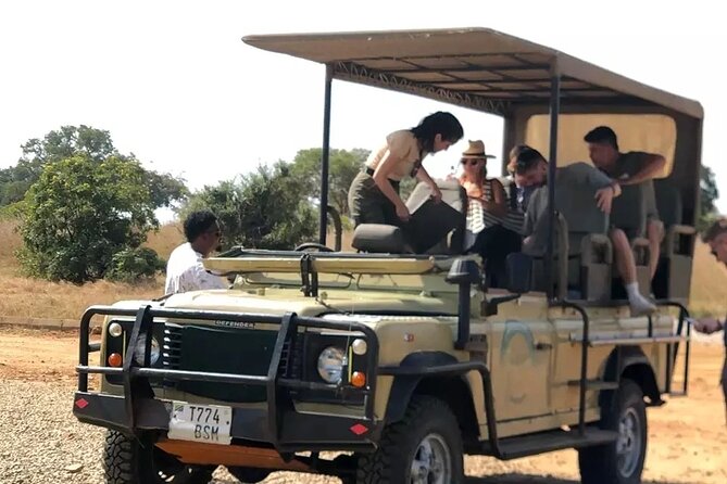 Day trip Safari to Mikumi National Park - What to bring and how to prepare