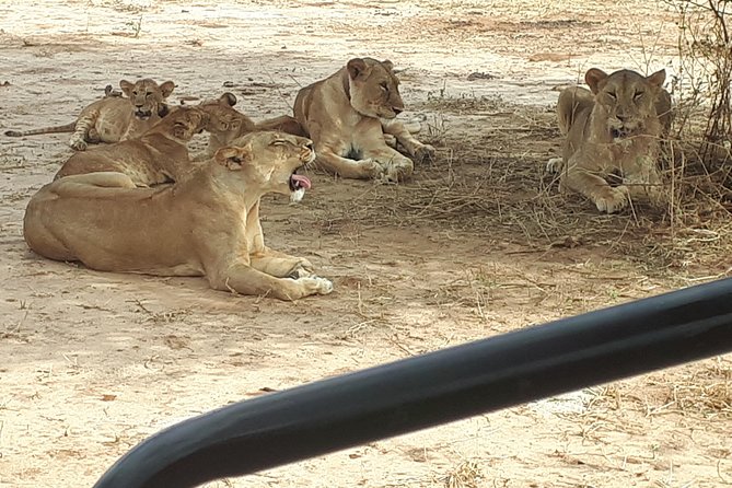 day trip tarangire - What the $270 price includes