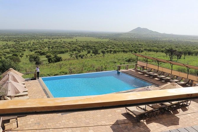 Discover Tanzania through the 3 wild classics - Arusha arrival and the first night