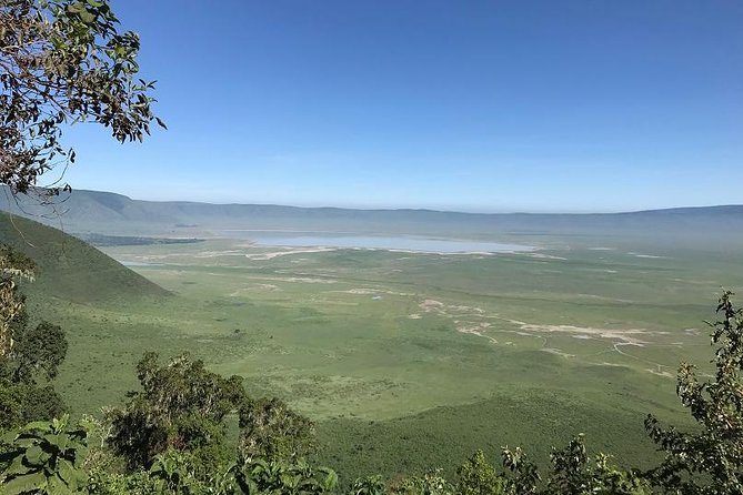Discover Tanzania through the 3 wild classics - Tarangire: elephants, trees, and a strong opening day