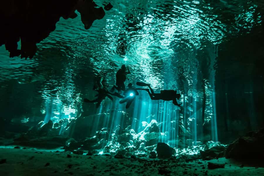 Discover Tumbatu Island: Private Snorkeling Adventure - What is included for $49