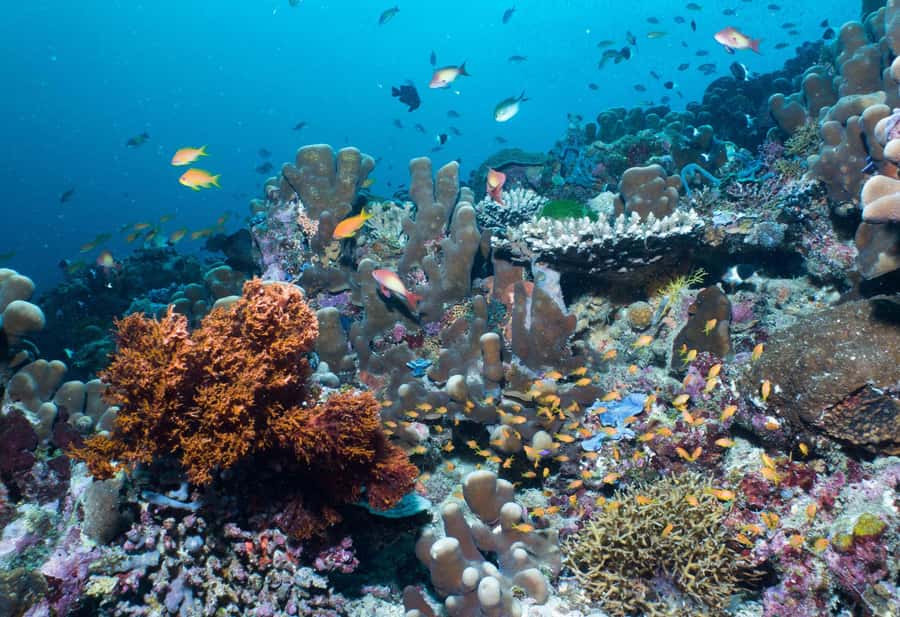 Discover Tumbatu Island: Private Snorkeling Adventure - Who will enjoy this trip most