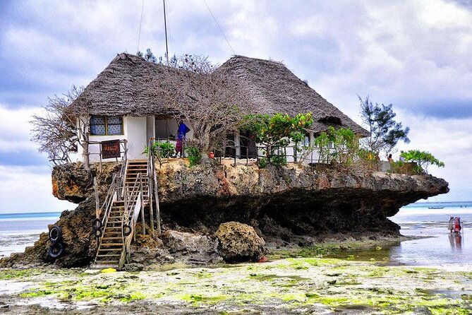 Dolphin tour, Jozani Forest, Jambiani Kuza Cave, Paje Beach &The Rock restaurent - One long day across Zanzibar