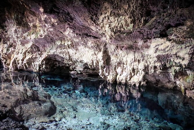 Dolphin tour, Jozani Forest, Jambiani Kuza Cave, Paje Beach &The Rock restaurent - Who should book this Zanzibar day