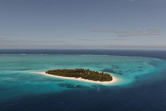 Dolphin Tour, Jozani Forest Tour, Kuza Cave Tour, Paje Beach,The Rock Restaurant - Jozani Forest and the red colobus monkeys