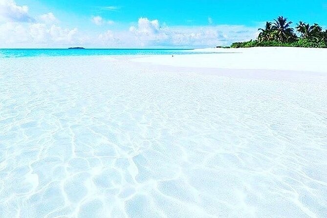 Dolphin Tour, Jozani Forest Tour, Kuza Cave Tour, Paje Beach,The Rock Restaurant - Paje Beach gives the day a pause