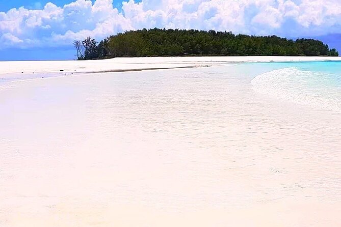 Dolphin Tour, Jozani Forest Tour, Kuza Cave Tour, Paje Beach,The Rock Restaurant - What the private format really gives you
