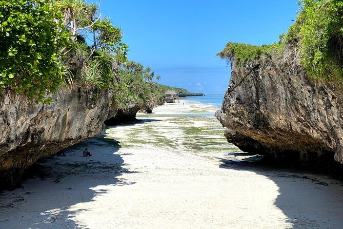 Explore Zanzibar's 6 Quintessential Southeastern Charm Full day - Salaam Cave and turtles at Kizimkazi Dimbani