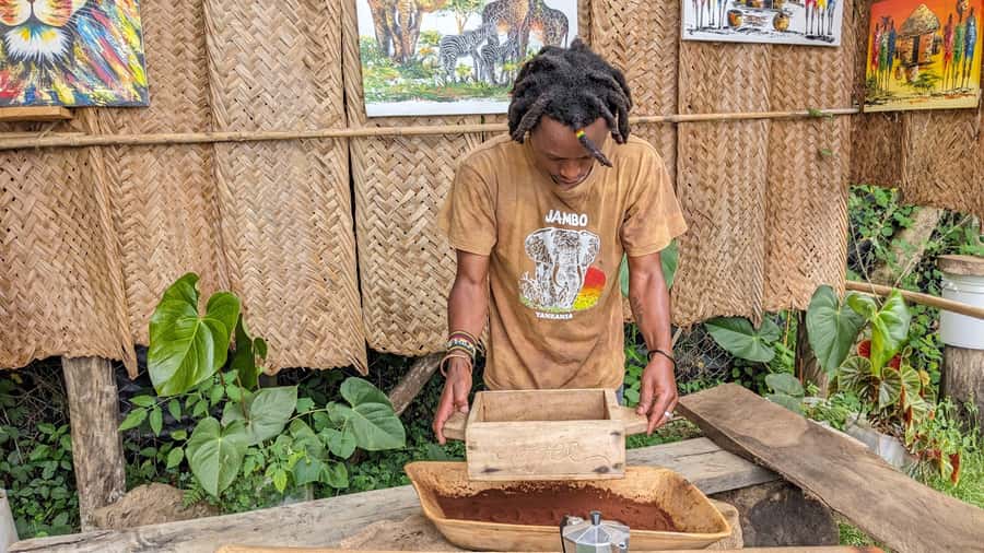 From Arusha: Coffee Farm and Mangalia Waterfalls Tour - Key points to know before you book