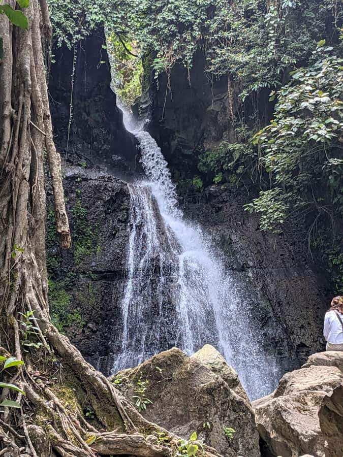 From Arusha: Coffee Farm and Mangalia Waterfalls Tour - A relaxed farm break with mountain views