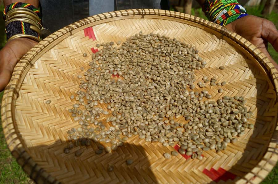 From Arusha: Coffee Farm and Mangalia Waterfalls Tour - Who will enjoy this tour most