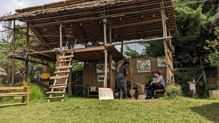 From Arusha: Coffee Farm and Mangalia Waterfalls Tour - Practical advice for getting the most from the four hours