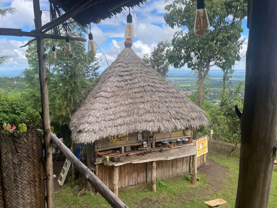 From Arusha: Coffee Farm and Mangalia Waterfalls Tour - From Arusha to a working coffee farm