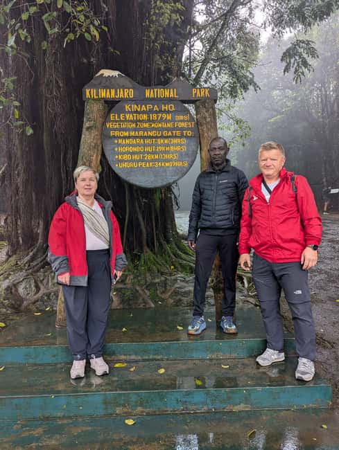 From Arusha/Moshi: Kilimanjaro Hike Marangu Route Day Trip - Key points to know before booking