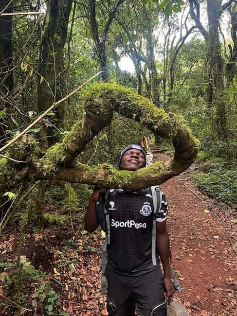 From Arusha/Moshi: Kilimanjaro Hike Marangu Route Day Trip - Is $101 good value?