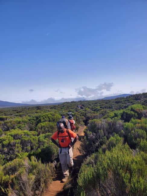 From Arusha/Moshi: Kilimanjaro Hike Marangu Route Day Trip - What to wear and bring